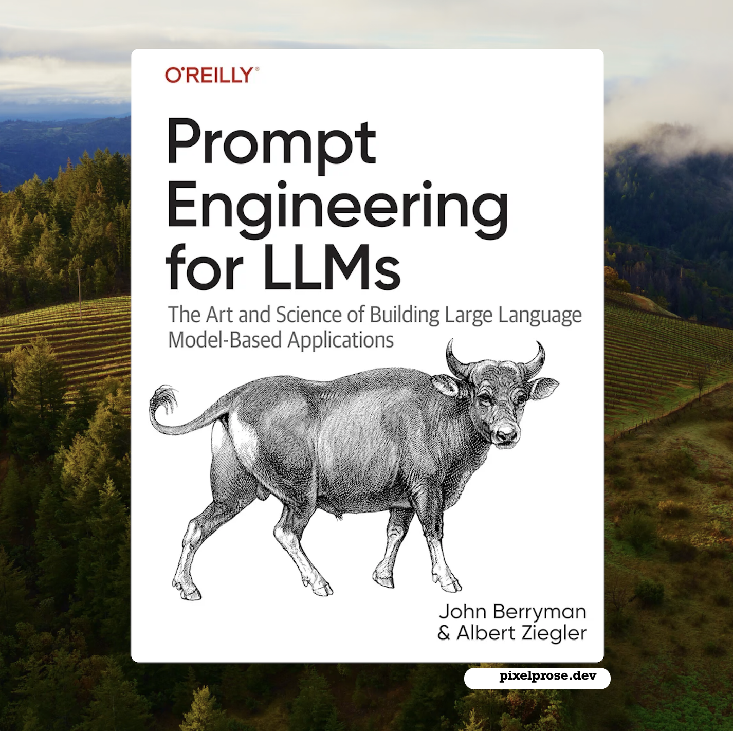 Prompt Engineering for LLMs